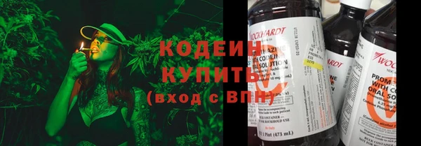 spice Снежногорск