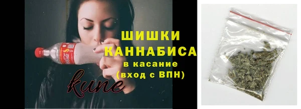 spice Снежногорск
