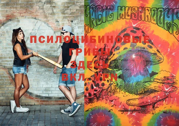 spice Снежногорск