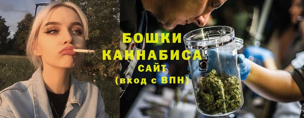 spice Снежногорск
