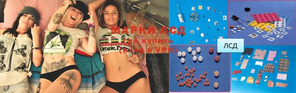 spice Снежногорск