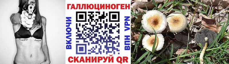 hydra зеркало  Саранск  Псилоцибиновые грибы MAGIC MUSHROOMS 