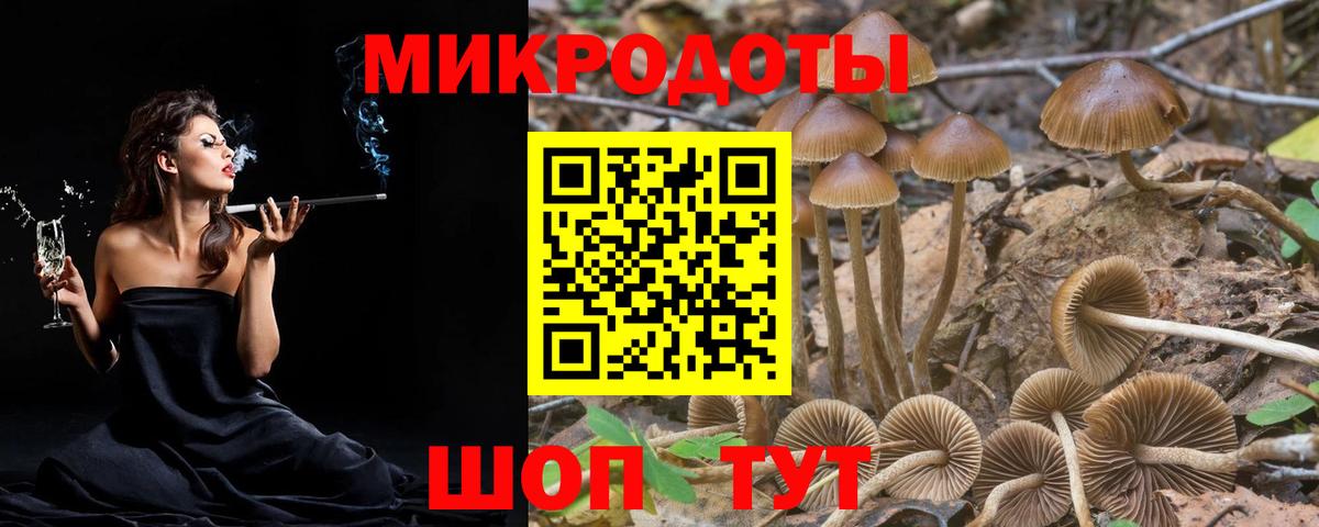 Галлюциногенные грибы мухоморы  закладки  Саранск  Вход с VPN 