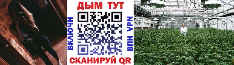 дарнет шоп  shop официальный сайт  Бошки Шишки марихуана  Саранск  omg рабочий сайт 